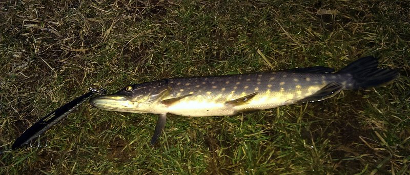 2016-11-22 16.11.15.jpg