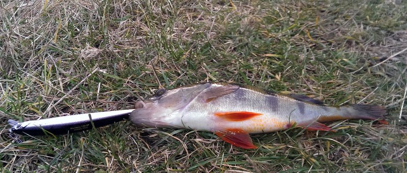 2016-11-26 14.10.32.jpg