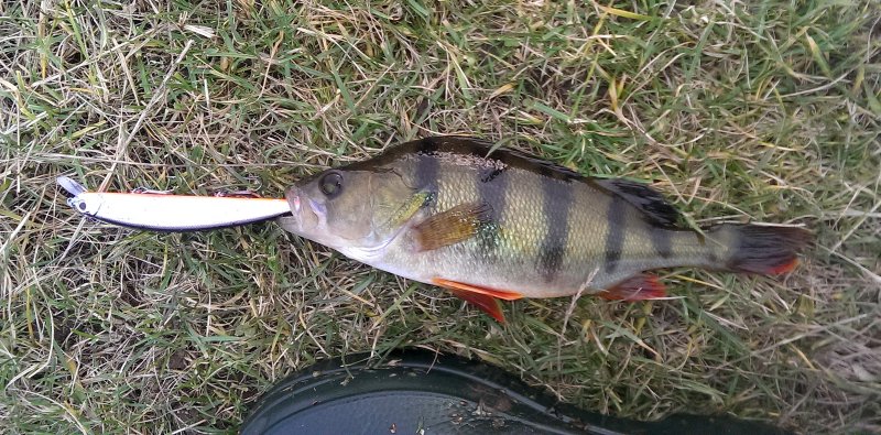 2016-11-26 14.10.45.jpg