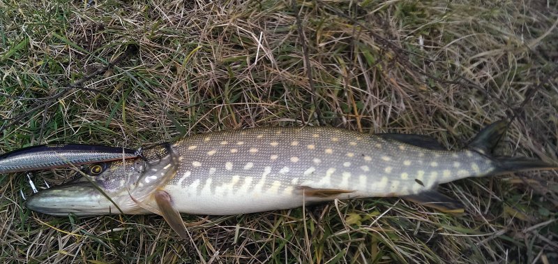 2016-11-26 14.33.48.jpg