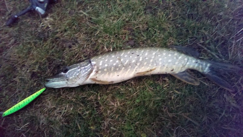 2016-11-27 16.34.17.jpg