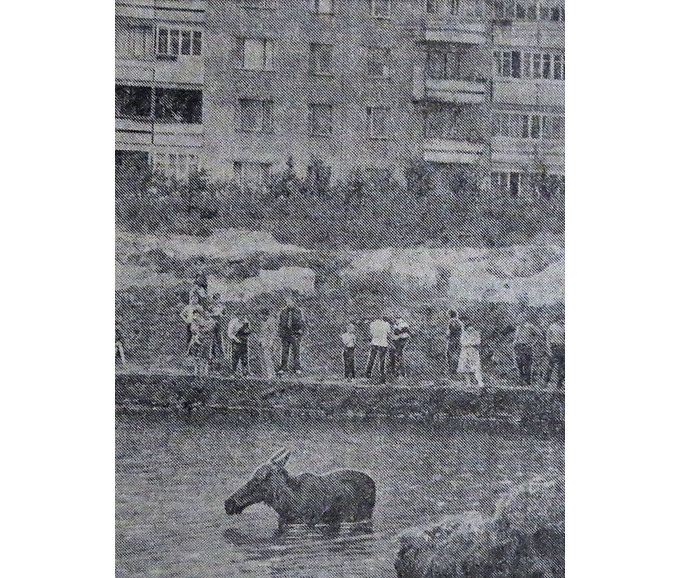 червень 1987.jpg