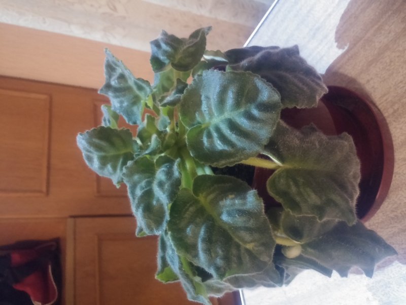 2016-12-07 19.32.24.jpg