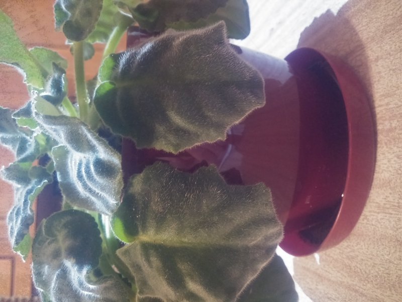 2016-12-07 19.32.32.jpg