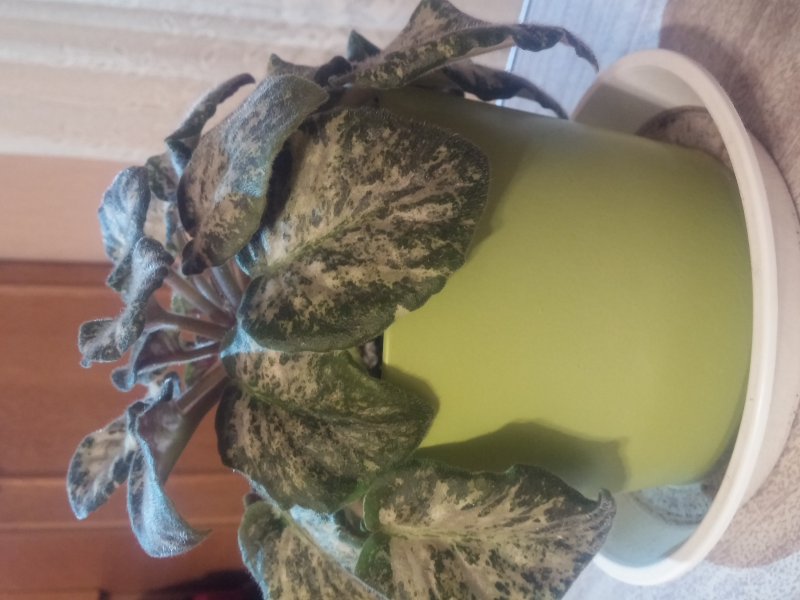 2016-12-07 19.35.19.jpg