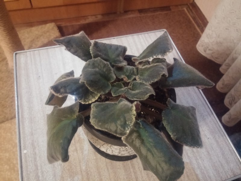 2016-12-07 19.39.14.jpg