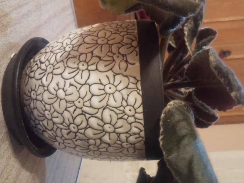 2016-12-07 19.39.21.jpg