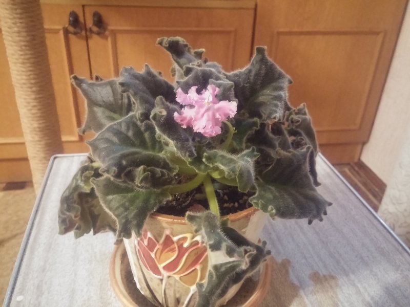 2016-12-07 19.41.36.jpg