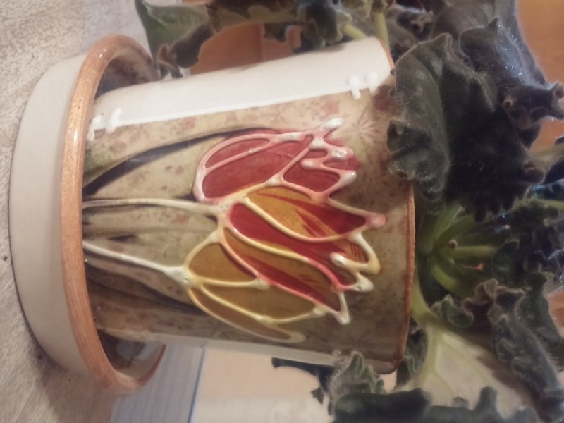 2016-12-07 19.41.42.jpg