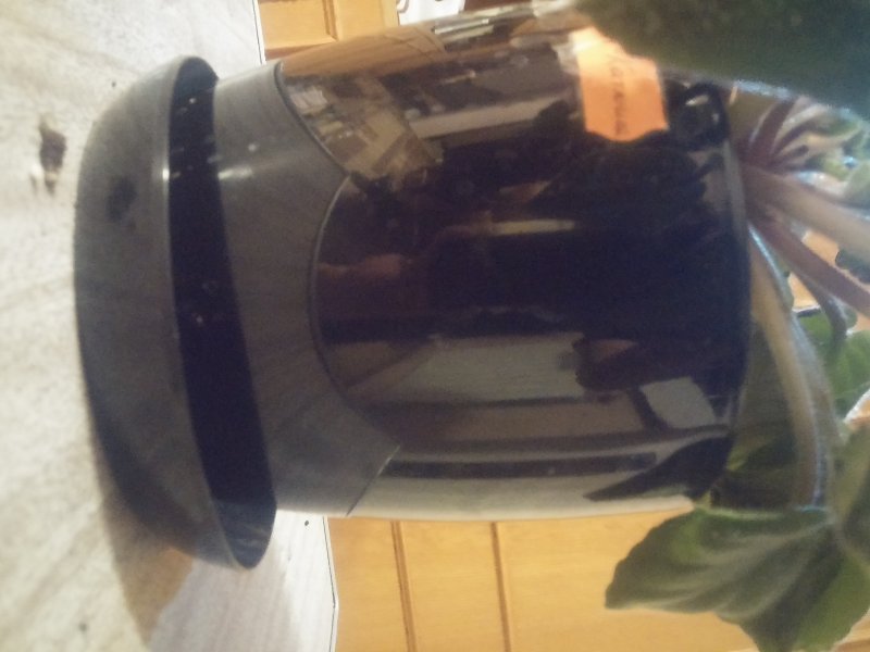 2016-12-07 19.43.41.jpg