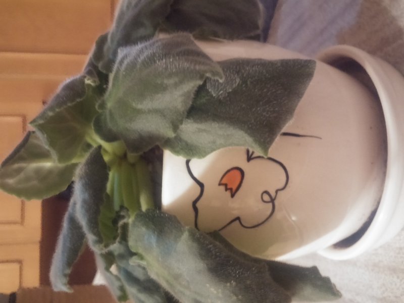 2016-12-07 19.44.55.jpg