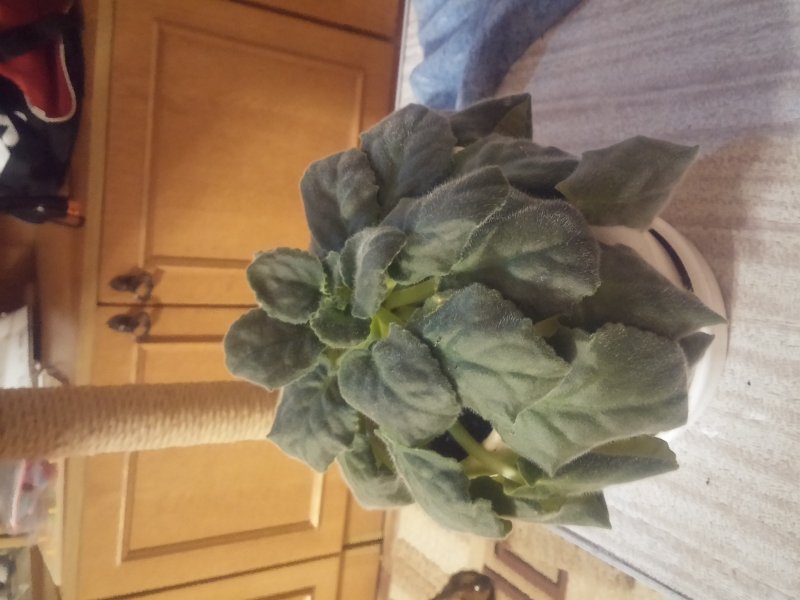 2016-12-07 19.45.03.jpg