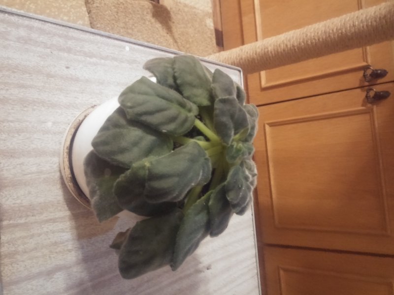 2016-12-07 19.46.59.jpg