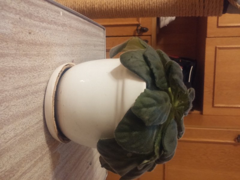 2016-12-07 19.47.12.jpg