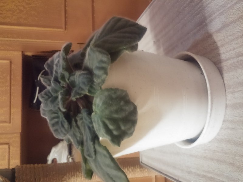 2016-12-07 19.52.15.jpg