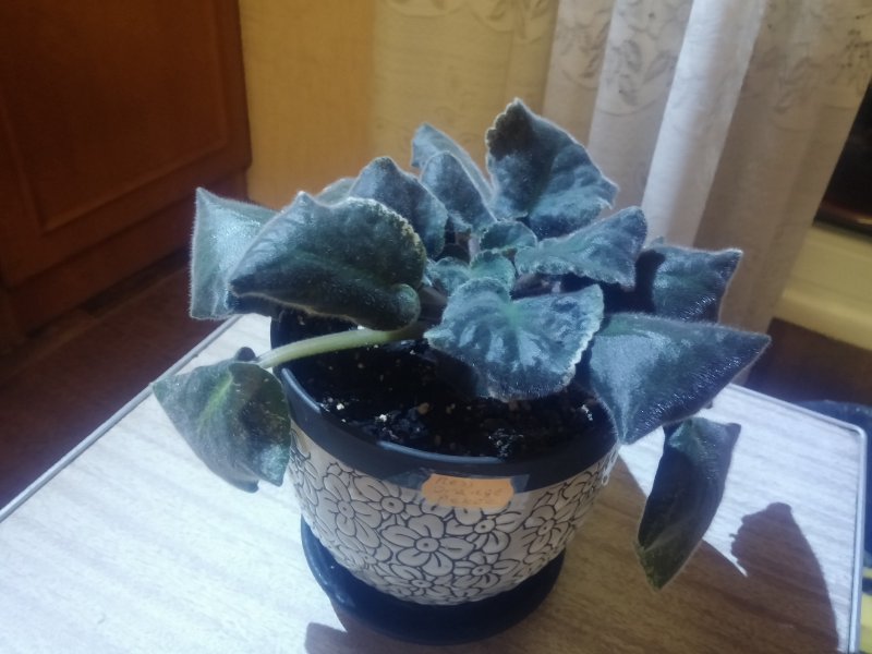 2016-12-07 20.50.06.jpg