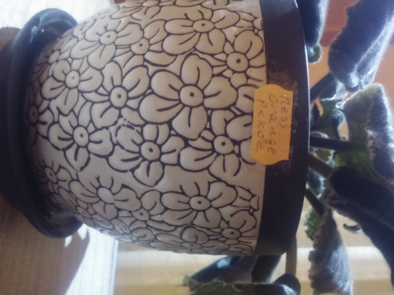 2016-12-07 20.50.12.jpg