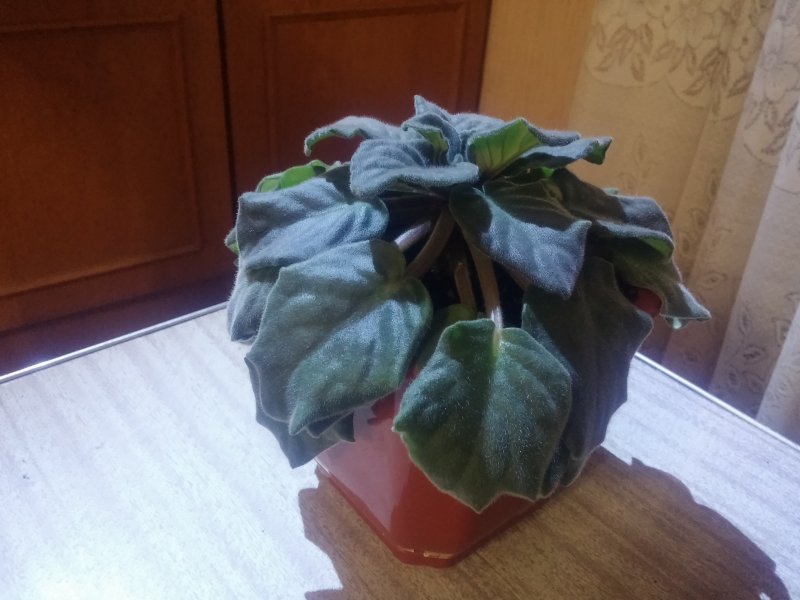 2016-12-07 20.52.58.jpg