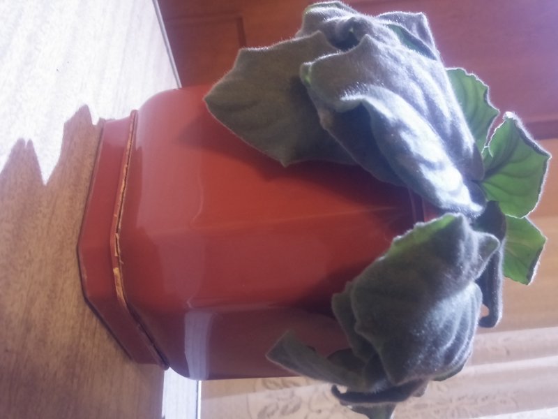 2016-12-07 20.53.02.jpg