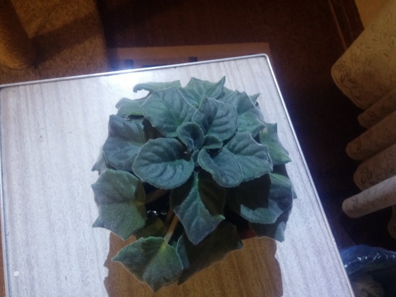 2016-12-07 20.53.05.jpg