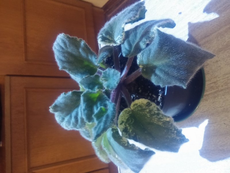 2016-12-07 20.54.11.jpg