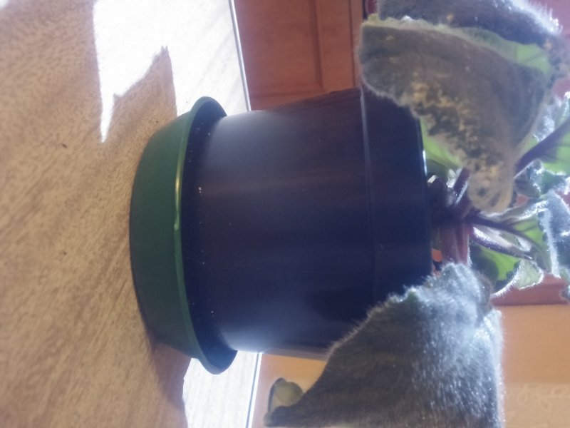 2016-12-07 20.54.18.jpg