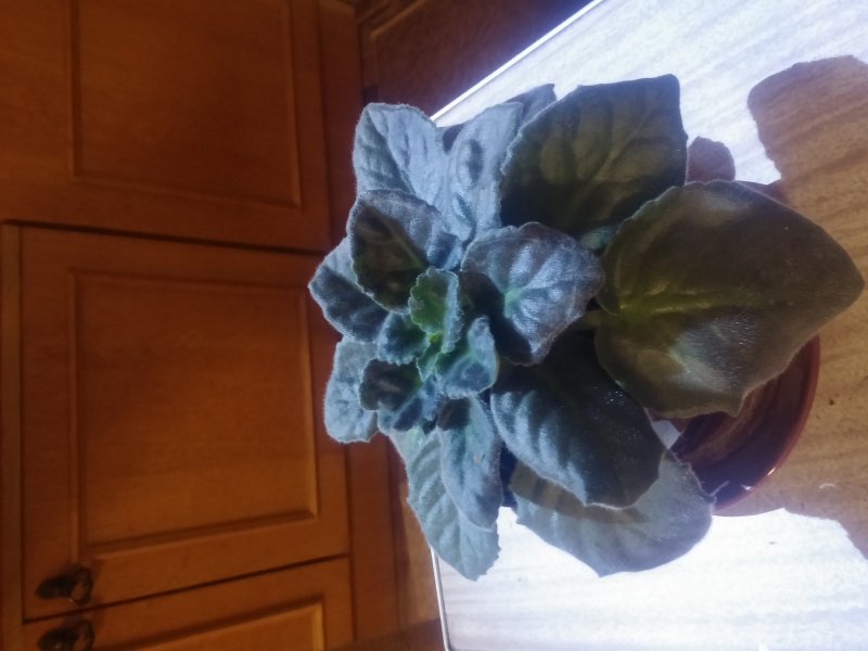 2016-12-07 21.01.21.jpg