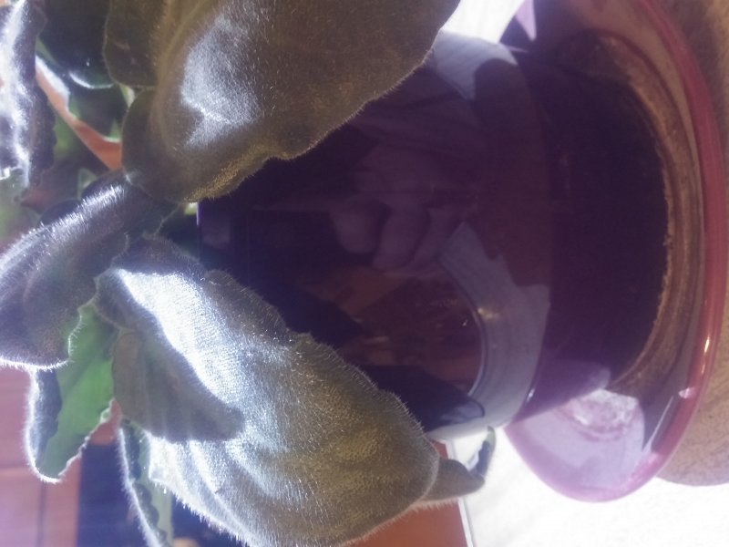 2016-12-07 21.01.26.jpg