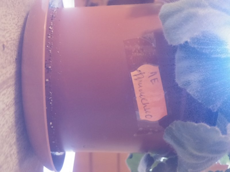 2016-12-07 21.03.06.jpg