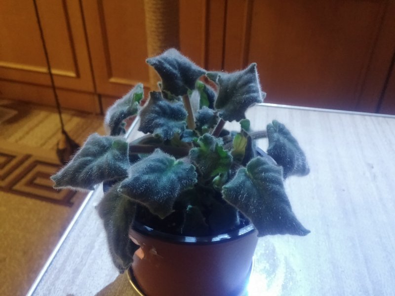 2016-12-07 21.04.56.jpg