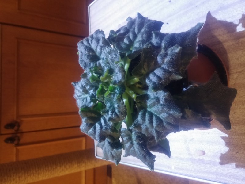 2016-12-07 21.08.26.jpg