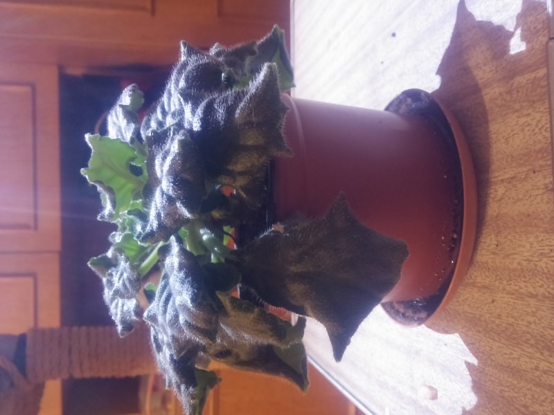 2016-12-07 21.08.31.jpg