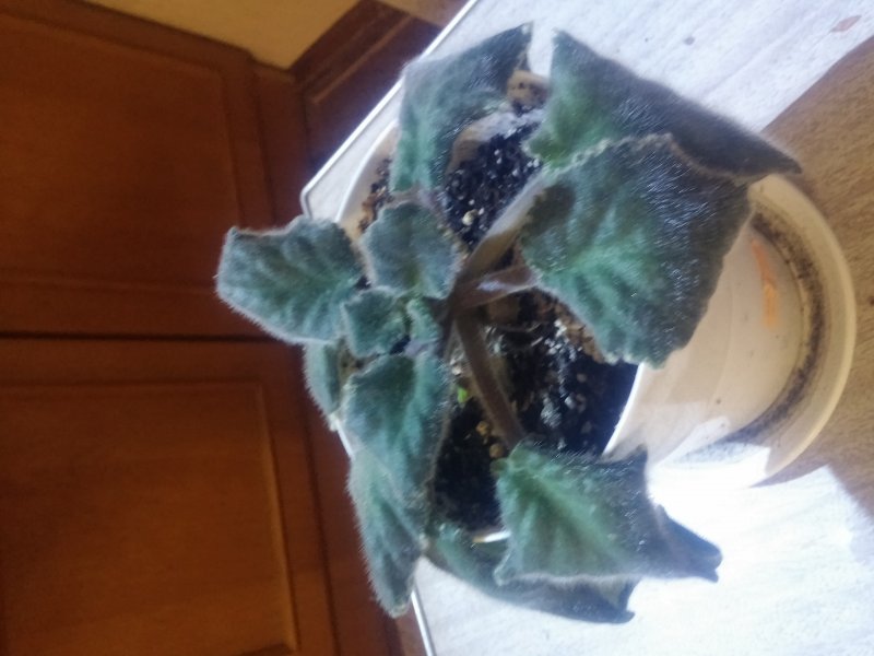 2016-12-07 21.10.48.jpg