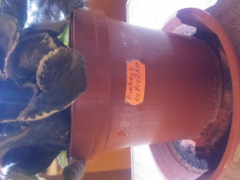 2016-12-07 21.12.49.jpg