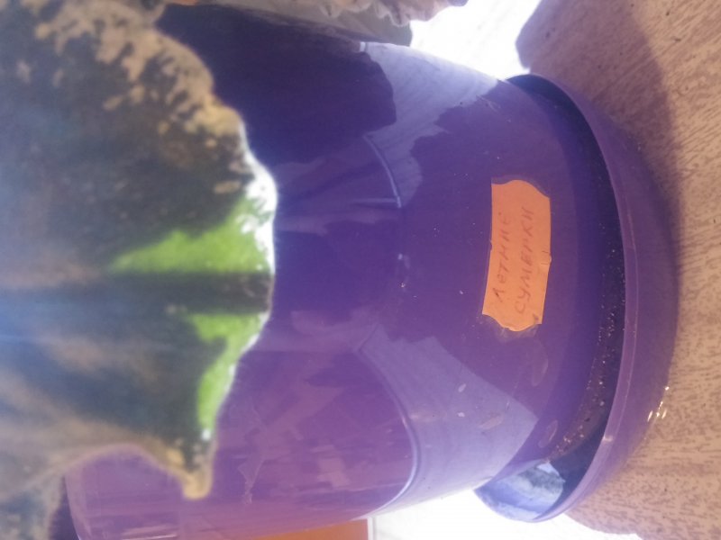 2016-12-07 21.16.20.jpg