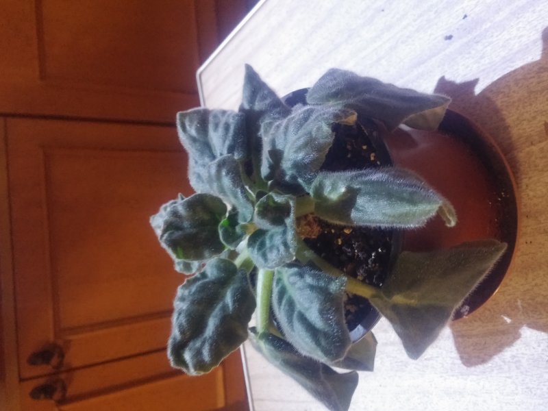 2016-12-07 21.18.02.jpg