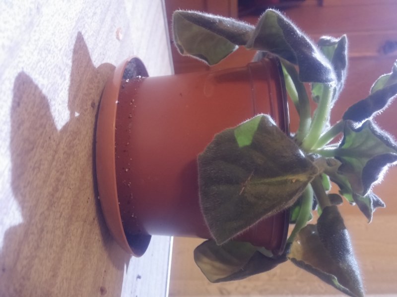 2016-12-07 21.18.08.jpg