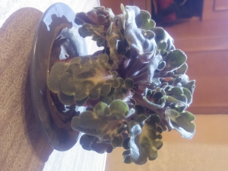 2016-12-07 21.19.40.jpg