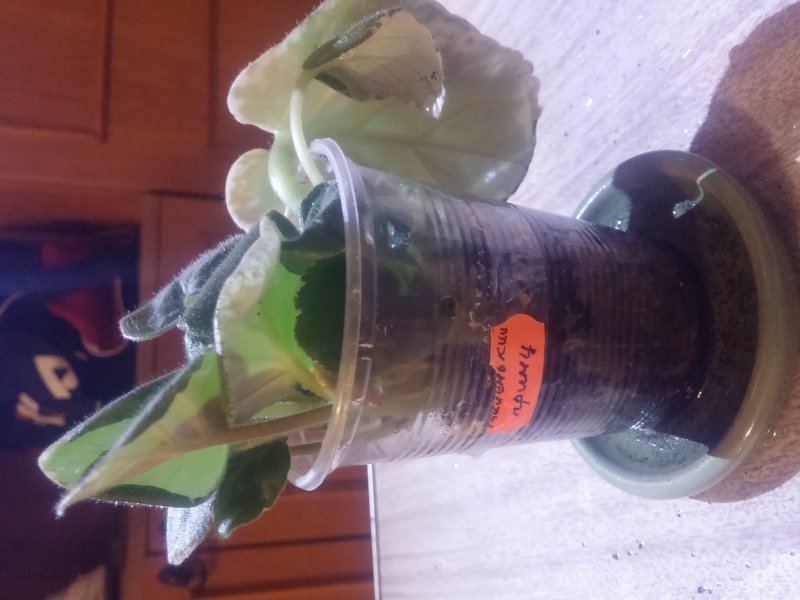 2016-12-07 21.20.40.jpg