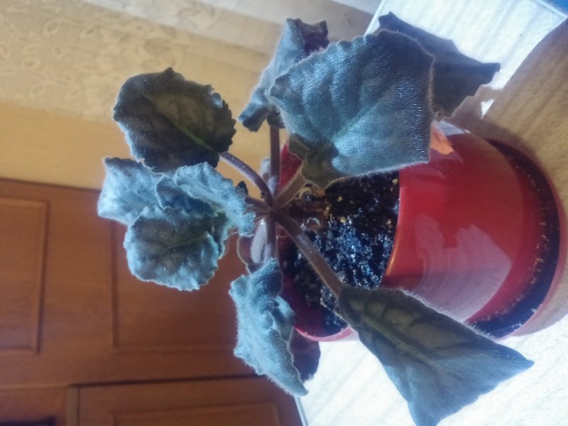 2016-12-07 21.21.49.jpg