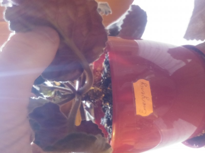 2016-12-07 21.22.30.jpg