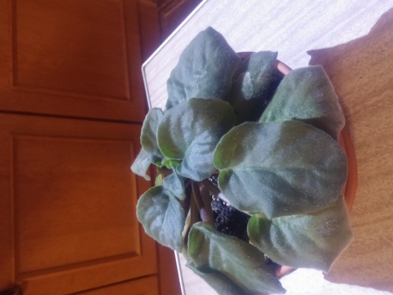 2016-12-07 21.27.09.jpg