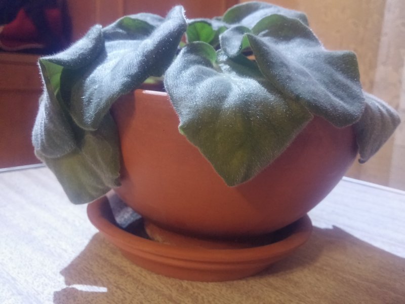 2016-12-07 21.27.16.jpg