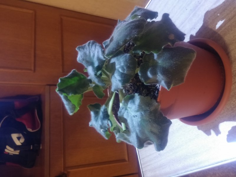 2016-12-07 21.29.41.jpg