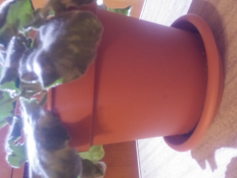 2016-12-07 21.29.44.jpg