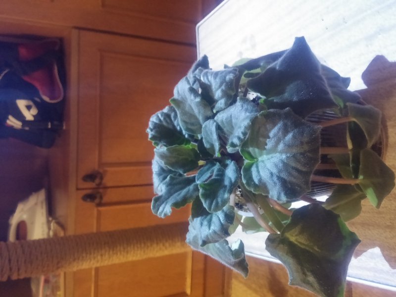 2016-12-07 21.30.54.jpg