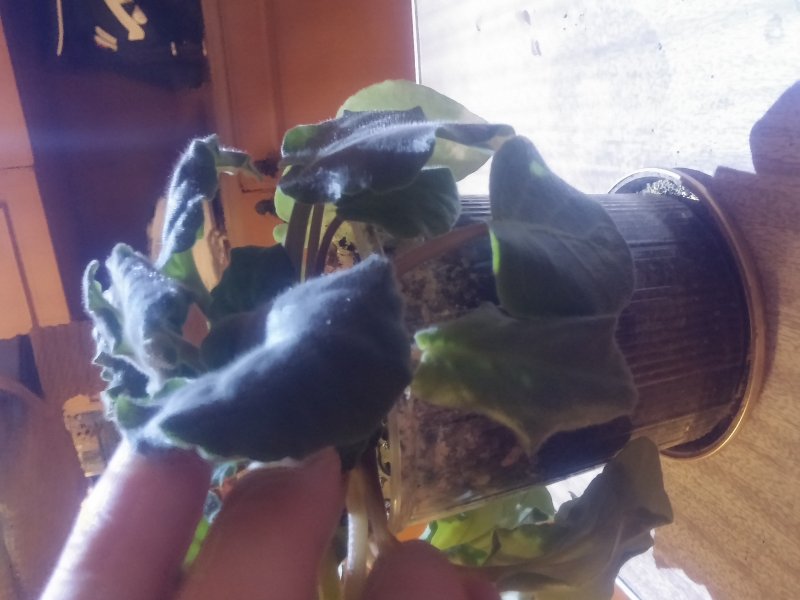 2016-12-07 21.31.03.jpg