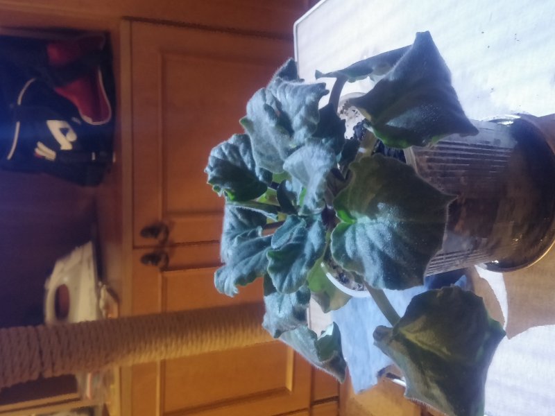 2016-12-07 21.32.35.jpg