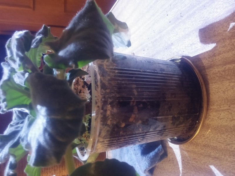 2016-12-07 21.32.39.jpg