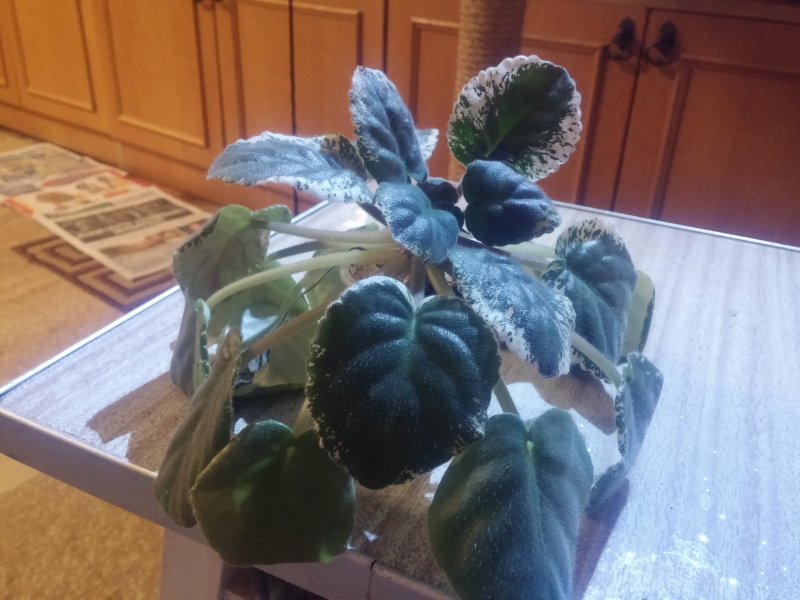 2016-12-07 21.34.59.jpg